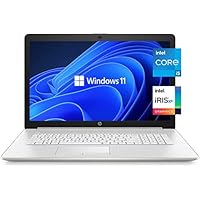HP Notebook Professional Laptop, 17.3 Inches, Windows 11 Home