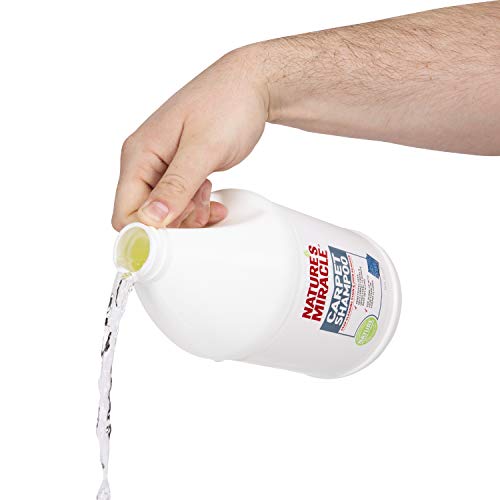 Nature's Miracle Carpet Shampoo, Deep-Cleaning Stain and Odor Remover - Thumbnail 4
