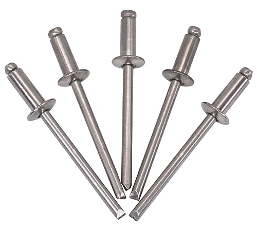 SKIR'CO Paquete de 100 remaches ciegos de acero inoxidable de 4 x 10 mm, cabeza de cúpula, remaches pop, DIN 7337, remache A2 (100, 4 x 10 mm)