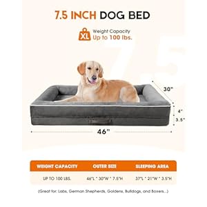 X Large Orthopedic Dog Bed Egg Foam Dog Couch with Removable Washable Cover Waterproof Pet Sofa Bed with Non Slip Bottom and Four Sided Bolster Cushion Gray Dog Beds for Large Sized Dog