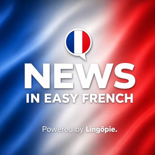 Ukraine Conflict, AI Market Drop & World Cup | News in Easy French