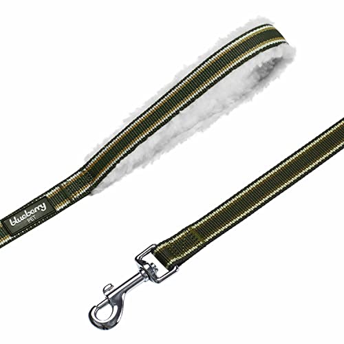 Laisse pour chien Blueberry Pet de qualité supérieure olive M
