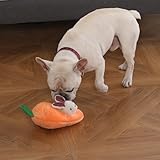 Amazon Basics Quietschendes Hundespielzeug aus Plüsch zum Verstecken Spielen, Hase und Karotte, 5er-Pack, Orange und Weiß