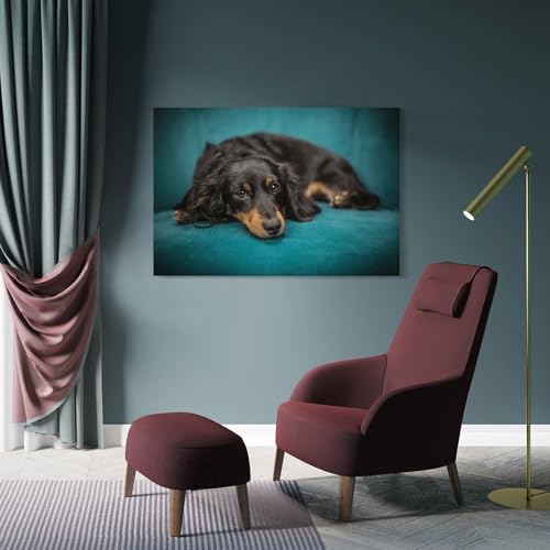 Poster teckel sur toile impression d'art mural chic - 4