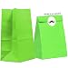 40CT Biodegradable, Food Safe Ink & Paper, Premium Quality Paper (Thicker), Paper Bag, Kraft Paper Sack, Goody Bags, Treat Sacks, Perfect for Party Filled with Small Favors (Medium, Lime Green)