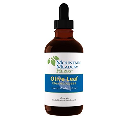 Mountain Meadow Herbs Olive Leaf Extract – Gentle Cleansing, Yeast-Balance Support, Immune System Support, Overall Welln