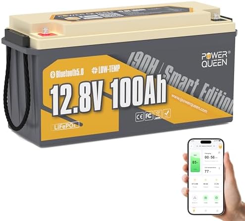 Batteria LiFePO4 12V 100Ah FEENCE Con Bluetooth: Per Camper, Barca, Solare - BMS 100A