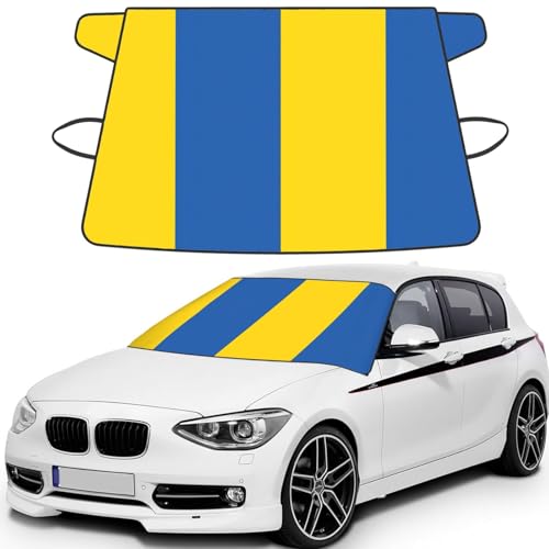 Couverture pare-brise voiture Ukraine neige glace auto