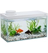 Amazon | ベタ飼育セット スマート水槽 小型1.6L水槽 温度設定20-30