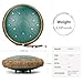 Steel Tongue Drum 13 Inches 15 Notes, Hand Pan Drums for Adults 440hz, C Major Handpan Musical Instrument with Song Book, Mallets and Carry Bag, Green