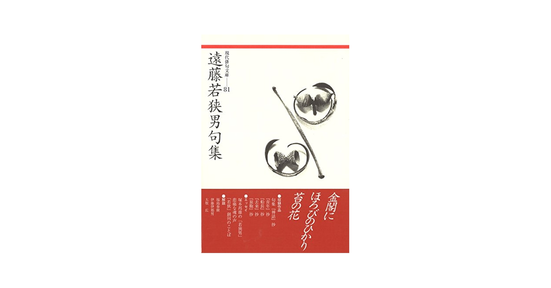 遠藤若狭男句集 (現代俳句文庫) Amazon.co.jp: 遠藤若狭男句集 (現代俳句文庫 81) : 遠藤若狭男: 本