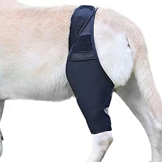 Dog Knee Brace, Dog Leg Braces for Back Leg, Dog Knee Support Sleeve ACL Brace for Dogs, Dog Arth ritis Brace, Flexible Support Treat for Luxating Patella Cruciate Ligament Sprain Strain Tear Injuries