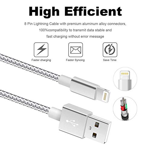 IPhone Câble de chargeur [Apple MFi certifié] 3Pack 10FT Chargement rapide du câble de foudre longue USB Cord Compatible avec iPhone 14 13 12 11 Pro Max 11 XS Max XR X 8 7 6S,Argenterie