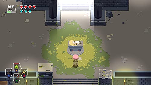 Sword of the Necromancer Collection PS5 - vue 6