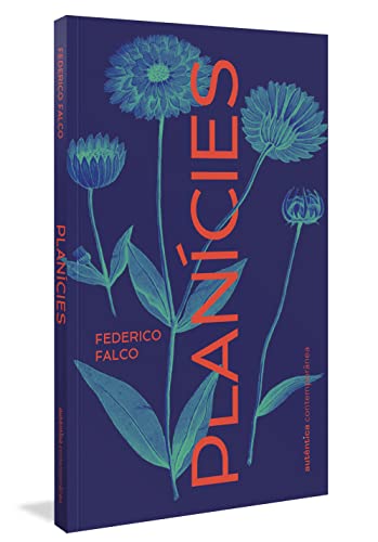 Planícies