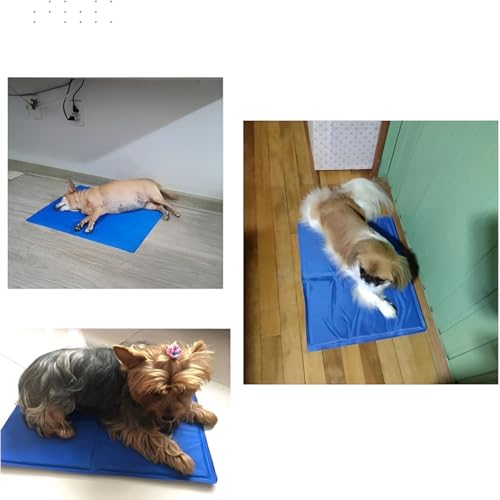 Tapete Gelado Refrescante Premium para Pet Cães Gatos Tamanho Médio 40x50cm Colchonete Fresco Caminh
