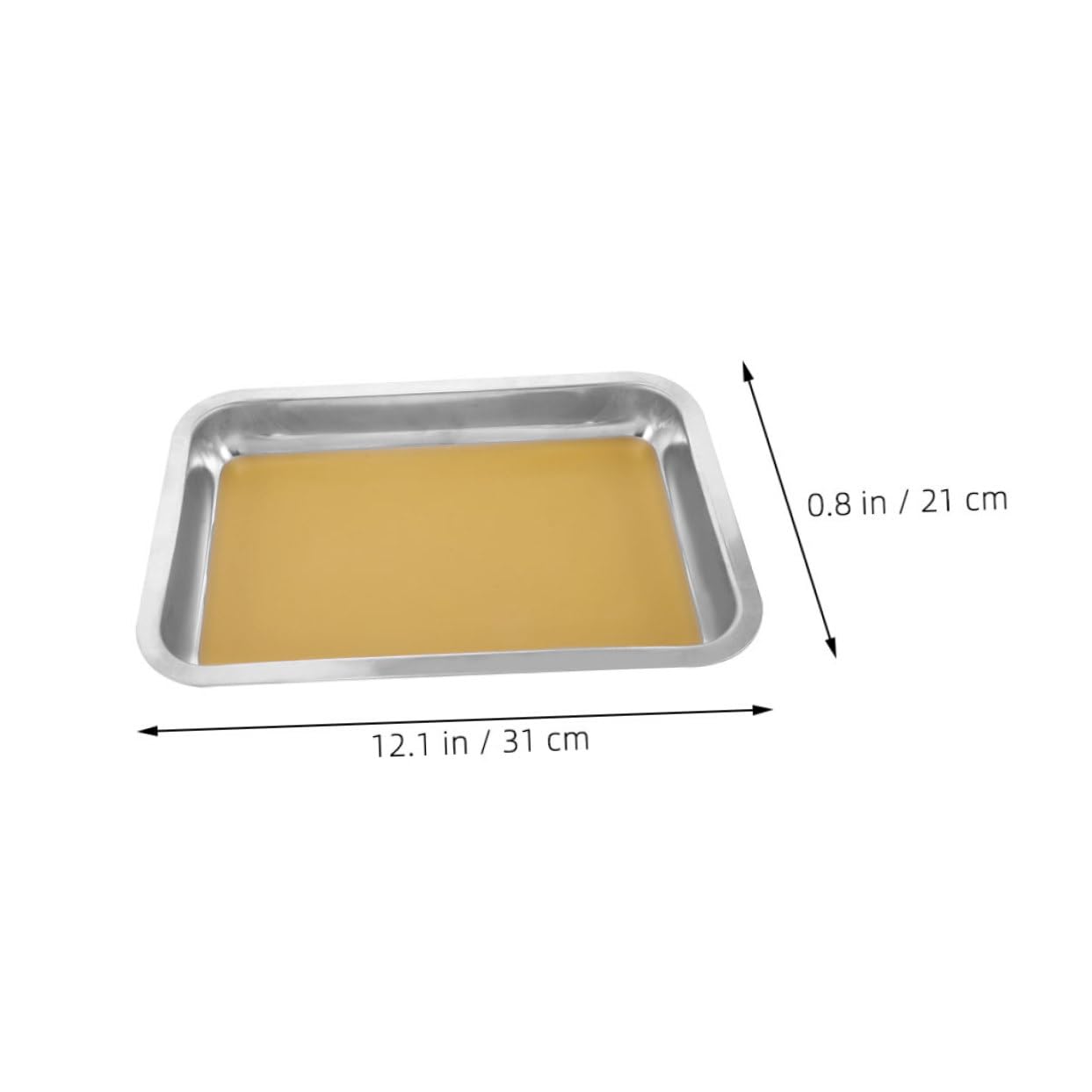 Toyvian 2pezzi Vassoio Per Disezione Acciaio Inossidabile Con Rivestimento Cera Strumenti Educativi Per Biologia e Anatomia Sicuri e Facili Da Pulire Per Laboratori e Scuole