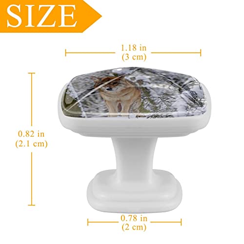Boutons de tiroir loup des neiges pour relooker un meuble de placard - 5