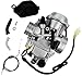 Auto-Moto New Carburetor for Honda Foreman 450 TRX 450 TRX450ES FE FM S 1998-2004