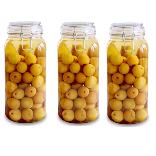 Ecocoer 密閉蓋付き 透明ガラス保存容器 キッチン収納 食品保存瓶 カウンター整理用 ガラスキャニスター 茶葉 果実酒 漬物 ジャム ハチミツ保存 (四角,2000ml(3個))