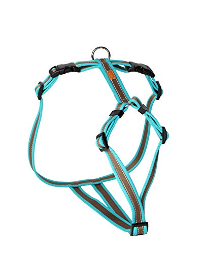 Feltmann Hundegeschirr - Soft-Grip, türkis/braun, Bauchumfang 50-65 cm, 20 mm Bandbreite