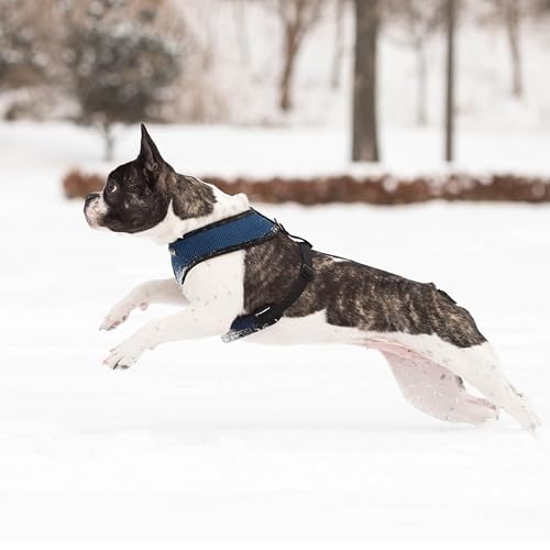 Harnais doux Puppia bleu foncé XL pour grand chien confortable - 4