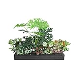 Juego de plantas artificiales verdes con musgo LnPottedTrees para el interior del hogar, paisajismo interior realista (tamaño E)