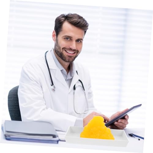 Modèle de graisse corporelle avec socle pour motiver vos patients - 5