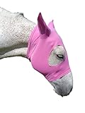 FOR WELLNESS HORSE