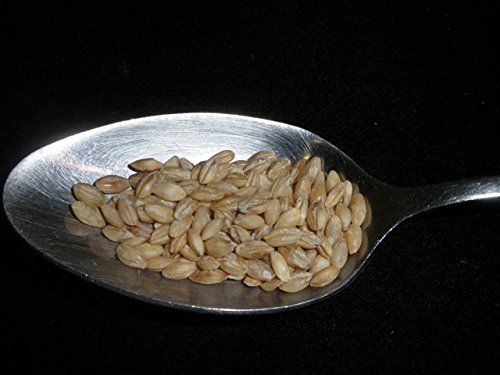 Hulled Barley 5 Pounds (dehulled) USDA Certified Organic Non-GMO Bulk, Product of USA, Mulberry Lane Farms - Image 3