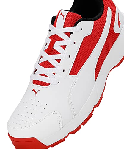 Image of Puma Men Cricket HighRun Cricket Shoe