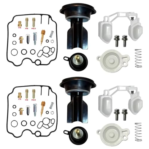 Kit réparation carburateur Monster 750 (1996-2001) avec pointeau et flotteur