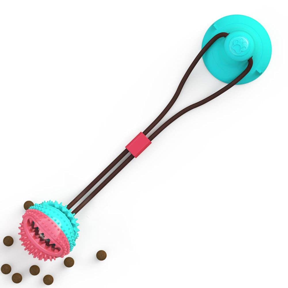 Brosse à dents pour chien avec balle distributrice et ventouse de traction