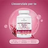 BANDINI B0D9M8VTB1 lato 4