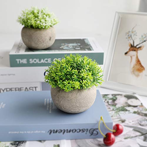 THE BLOOM TIMES 2 Pcs Fake Plants for Bathroom/Home Office Decor, Small Artificial Faux Greenery for House Decorations (Potted Plants)