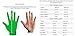 CUTTERS Receiver Football Gloves - Rev Pro Football Gloves - Boost Performance with The Best Grip Gloves and Stitching - Youth & Adult Sizes - 1 Pair