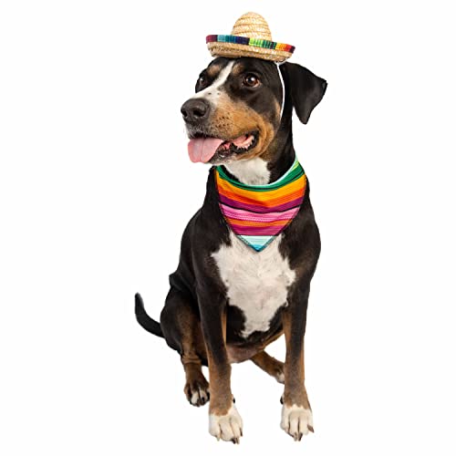 Disfraz Mexicano para Perro y Gato 2 Piezas Sombrero y Collar miniatura 5