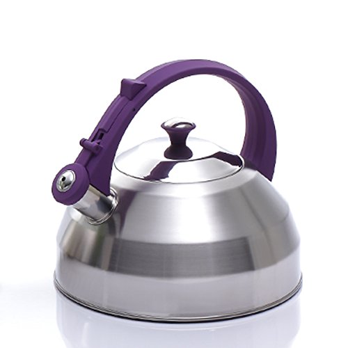 Creative Home Steppes 2.8 Qt Stainless Steel Teakettle - Brushed Finish with Purple Handle