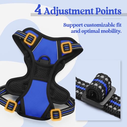 Image of rabbitgoo Dog Harness No Pull with 2 Leash Clips, Adjustable Soft Padded, Reflective Oxford No Choke Pet Vest with Easy Control Handle for Puppy, Dazzling Blue,XS