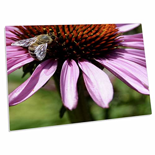 3dRose Patricia Sanders Flowers - Desk Pad Place Mat