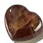 Petrified Wood