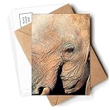 Größe: 14,6 x 9,8 cm Elefant Tier Postkarten Umschläge Blanko Notizkarten Versand