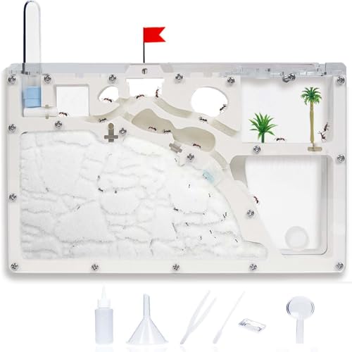 Ant Farm Castle - Large Viewing Area - Care For Live Ants - Ant Colony Observ...