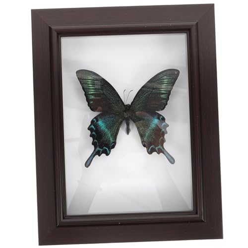 ERINGOGO Butterfly Specimen Decor Creative Wall Decor Handmade Specimen Frame Home Decoration Sturdy Wood Construction