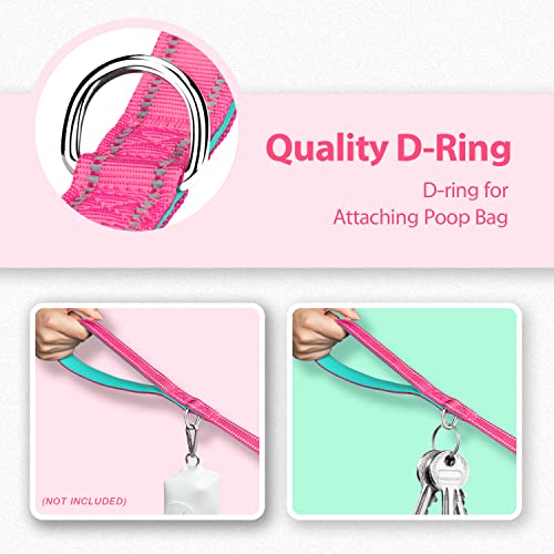 PHOEPET 5 Feet Dog Leash with Comfortable Padded Handle Easy Snap Clasp - Reflective Walking Lead for Large, Medium & Small Breed Dogs (Pink + Mint Green Base)