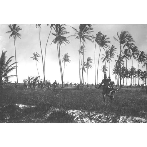 Ep. 66: La guerra in Africa e la battaglia delle api (Settembre 1914 - Aprile 1915) copertina