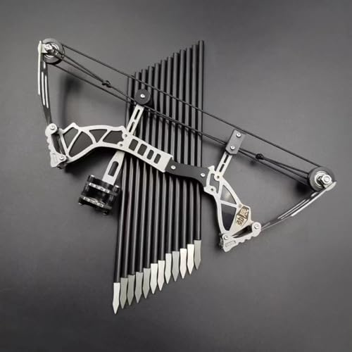 Mini Archery Bow Set with 12 Arrows, 6.5-inch Compound Bow
