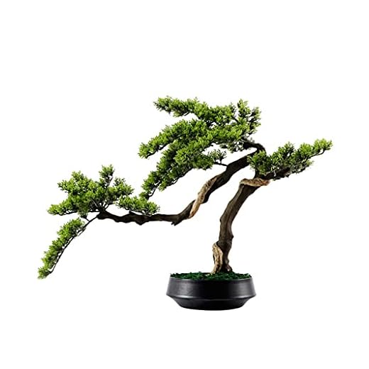 Konstgjorda bonsaiträd Konstgjorda träd bonsai vardagsrum simulering tall träd keramisk blomma kruka enkel atmosfär hem kontorsstudie dekoration Simuleringsträd