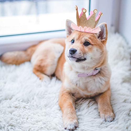 ULTECHNOVO 2Pcs Pet Coroa De Aniversário Chapéu Do Aniversário Chapéu E Bandana Do Cão Filhote de Ca