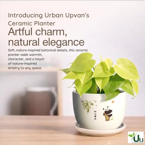 Image of Urban Upvan Panda Design Printed Ceramic Pot with Tray - Premium Decorative Planter for Indoor & Outdoor Plants, Modern Elegant Flower Pot for Home, Garden & Office